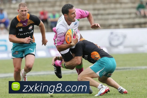 众星娱乐官网品牌故事